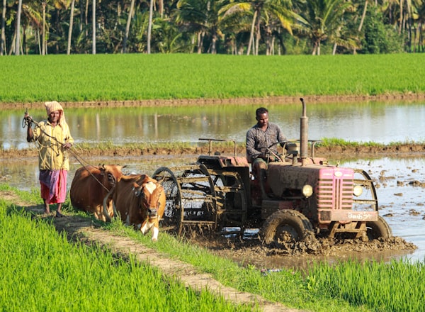Agriculture & Grain